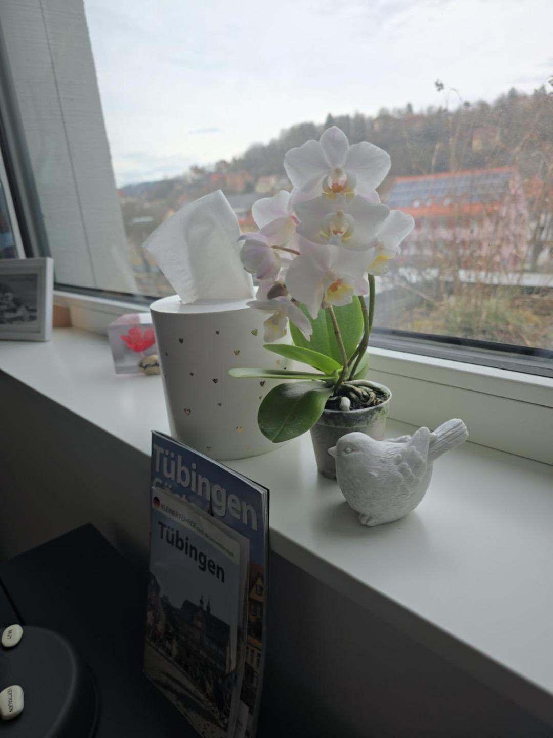 Stadtnahes Gaestezimmer Im Penthouse Bei Esi Tübingen Exteriör bild
